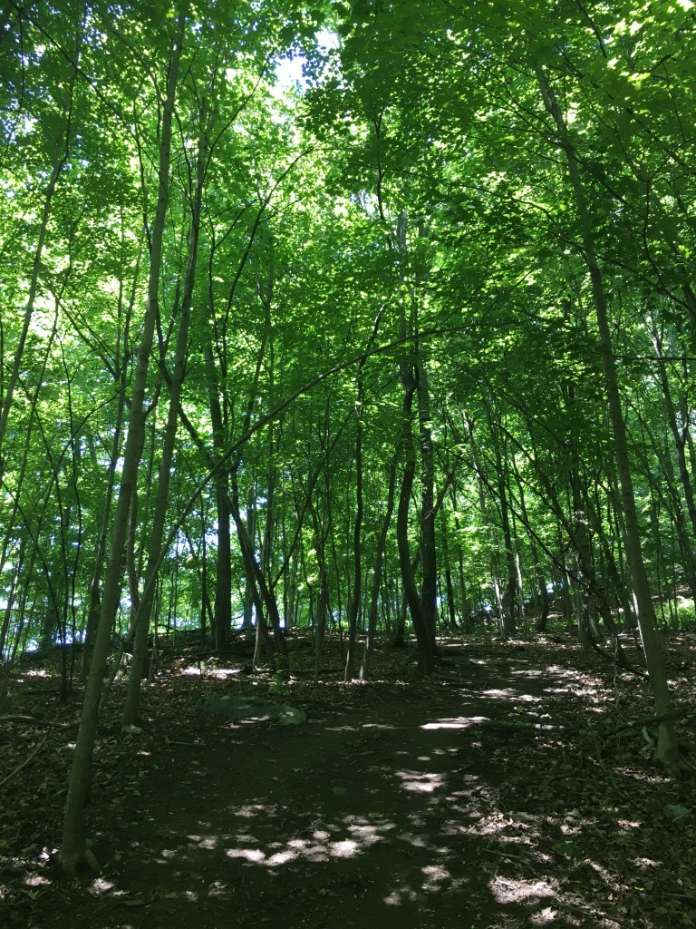 2016-07-17-12-32-33-1